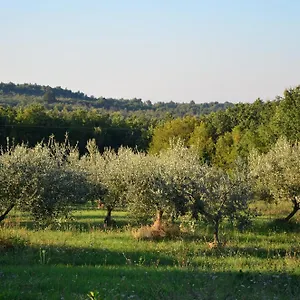  Villa Olivetta - Istrische Mit Meerblick Nahe Porec